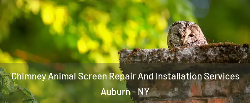  Chimney Animal Screen Repair And Installation Services Auburn - NY