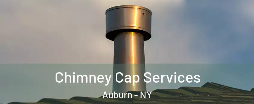  Chimney Cap Services Auburn - NY