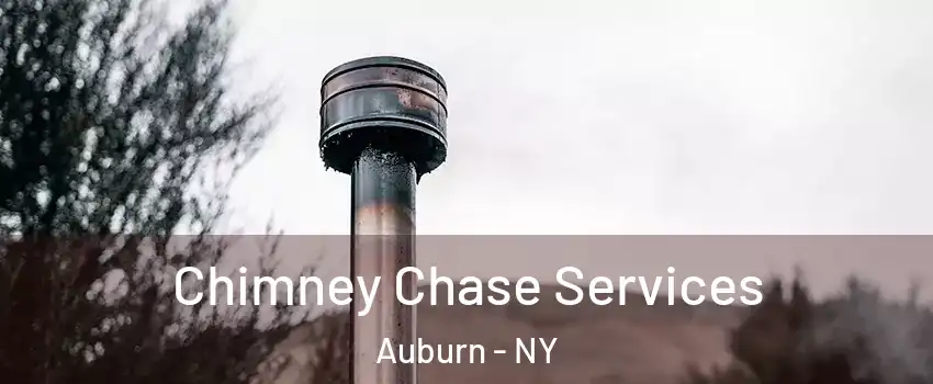  Chimney Chase Services Auburn - NY