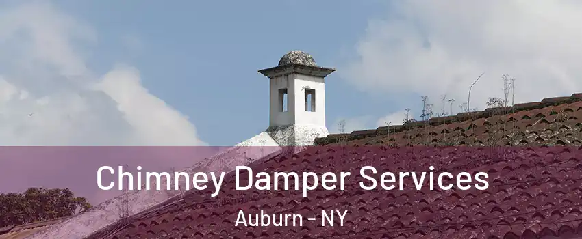  Chimney Damper Services Auburn - NY