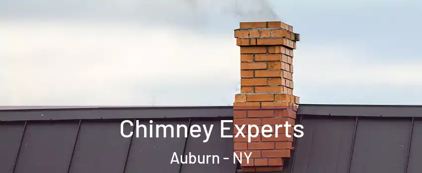  Chimney Experts Auburn - NY