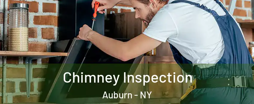  Chimney Inspection Auburn - NY