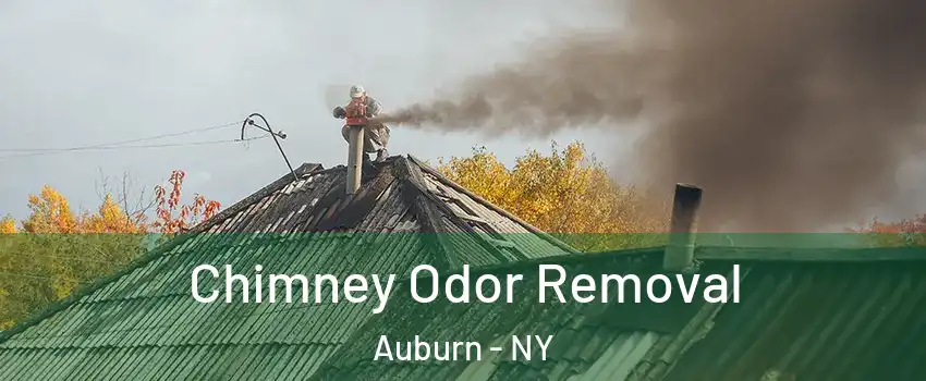  Chimney Odor Removal Auburn - NY