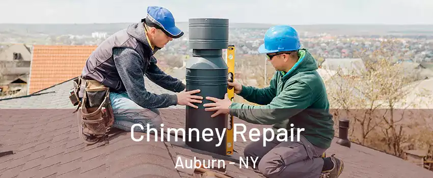  Chimney Repair Auburn - NY