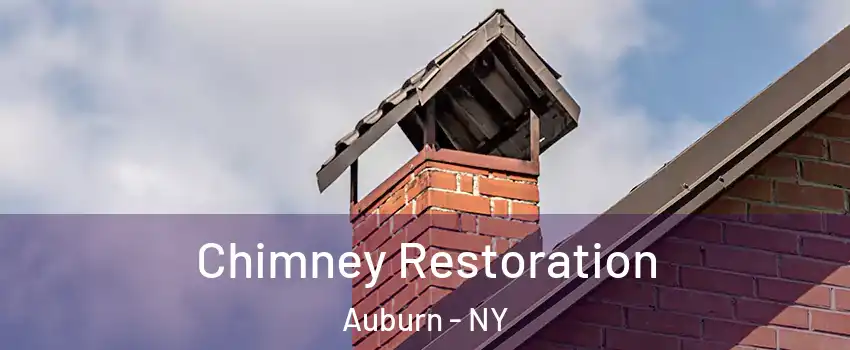  Chimney Restoration Auburn - NY