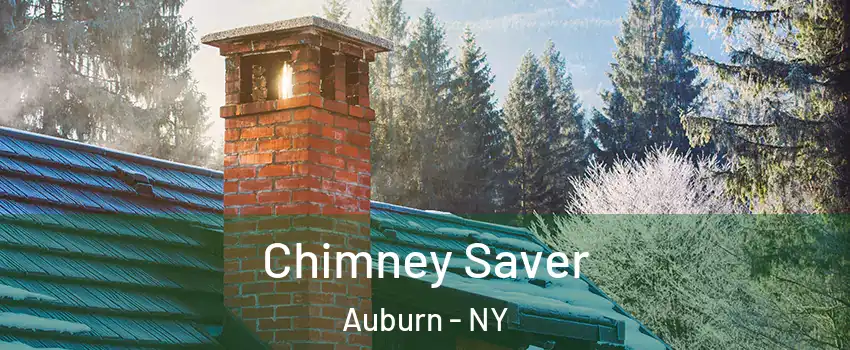  Chimney Saver Auburn - NY