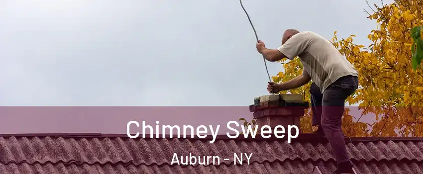  Chimney Sweep Auburn - NY