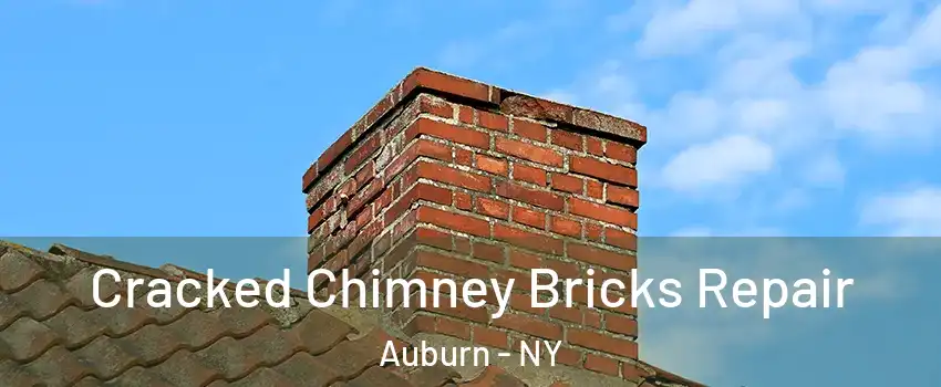  Cracked Chimney Bricks Repair Auburn - NY