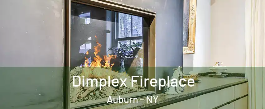 Dimplex Fireplace Auburn - NY