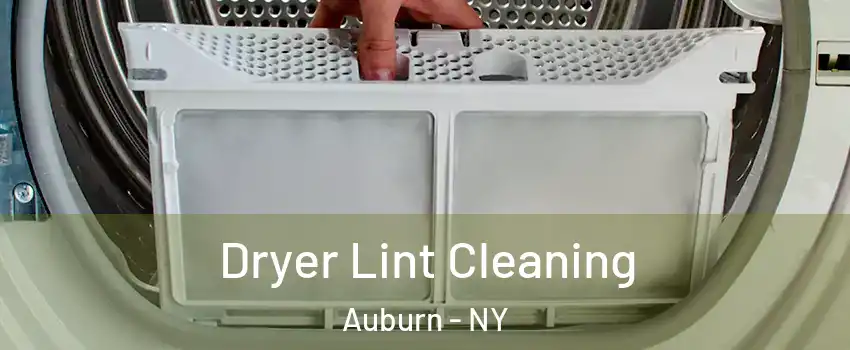  Dryer Lint Cleaning Auburn - NY