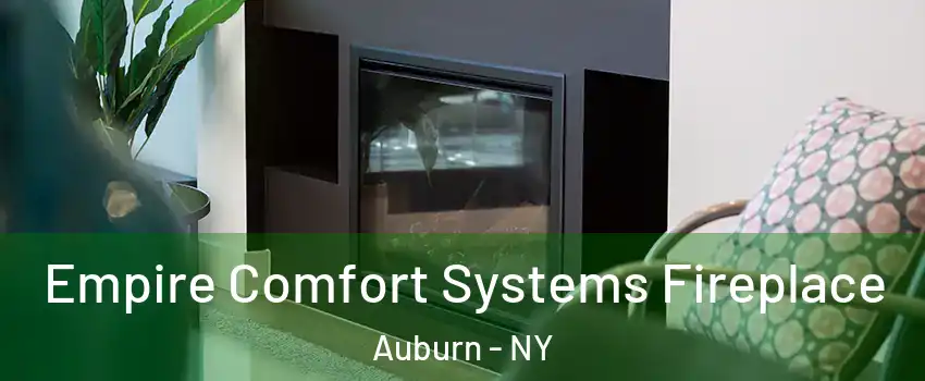  Empire Comfort Systems Fireplace Auburn - NY