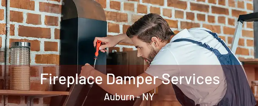  Fireplace Damper Services Auburn - NY
