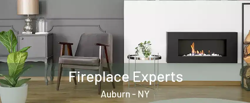  Fireplace Experts Auburn - NY