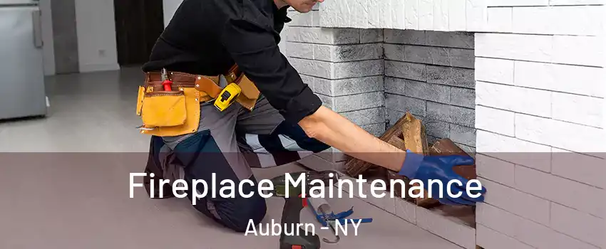  Fireplace Maintenance Auburn - NY