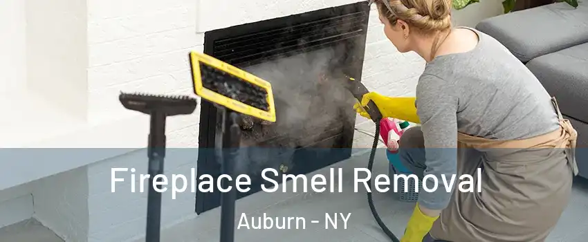  Fireplace Smell Removal Auburn - NY