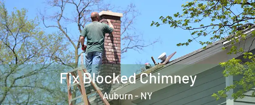 Fix Blocked Chimney Auburn - NY