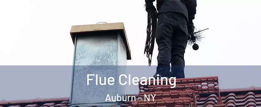  Flue Cleaning Auburn - NY