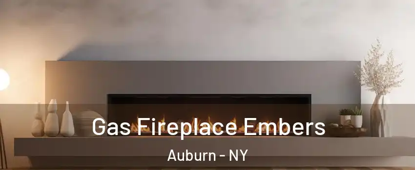  Gas Fireplace Embers Auburn - NY