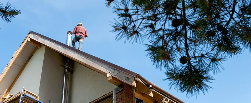 Birds Removal Contractors from Chimney in Auburn, NY