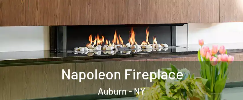  Napoleon Fireplace Auburn - NY
