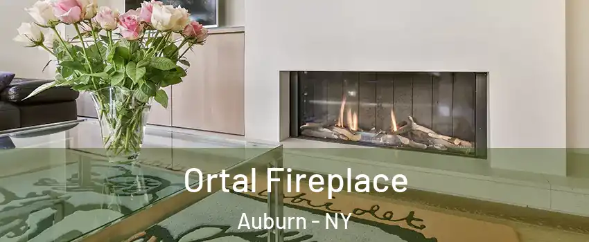 Ortal Fireplace Auburn - NY