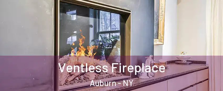  Ventless Fireplace Auburn - NY